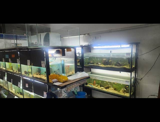 300M² BUSINESS FOR SALE IN VANDERBIJLPARK CENTRAL